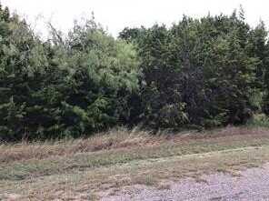 12015 Trailwood Drive, Whitney, TX 76692