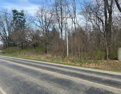 Riverside Dr VL, Constantine, MI 49042