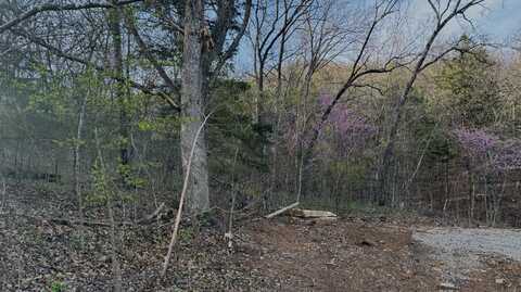 112 Mill Bridge, Lampe, MO 65681
