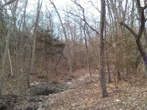 L5-6 Riviera Pomme De Terre N, Pittsburg, MO 65724