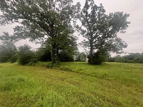 0000 County Road 1118, Brashear, TX 75420