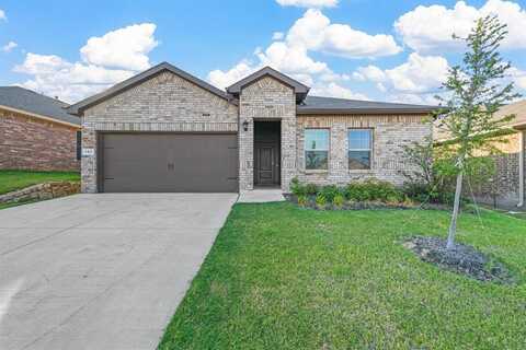 131 Orchard Pines Place, Boyd, TX 76023
