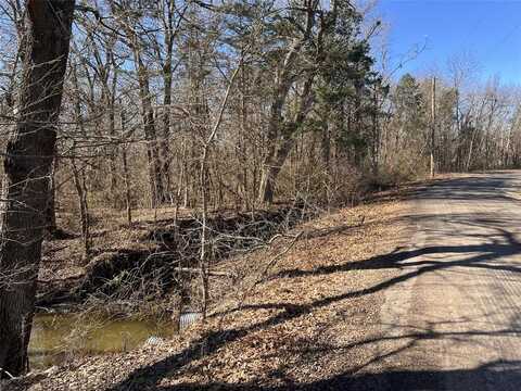 Tract 6 County Road 24900 Road, Honey Grove, TX 75446
