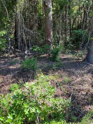 0000 FM 1801, Mineola, TX 75773