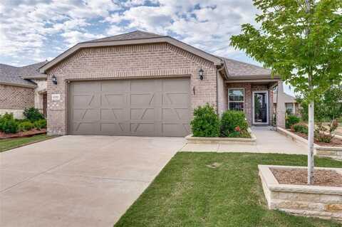 1232 Bright Stars Drive, Little Elm, TX 76227