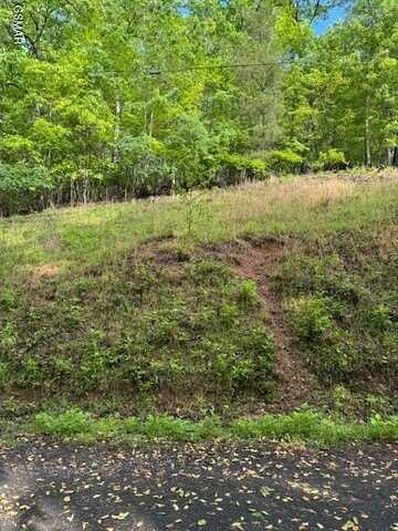 Lot 543 Rockview Drive, Spring City, TN 37381