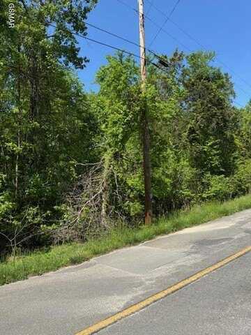 Lot 1240 Rustic Drive, Baneberry, TN 37890