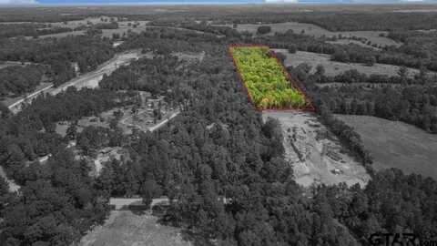 24387 CR 244, Overton, TX 75684