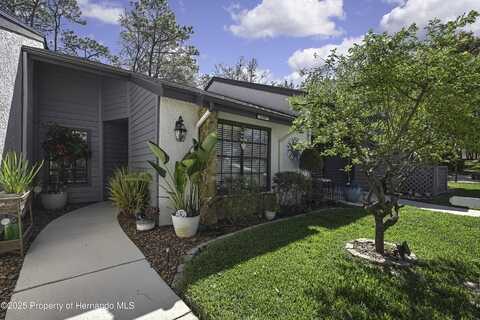 6395 pinestand Court, Spring Hill, FL 34606