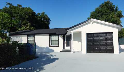 10101 Moores Mill Court, Tampa, FL 33615
