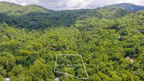 117 Buckberry Drive, Sapphire, NC 28774