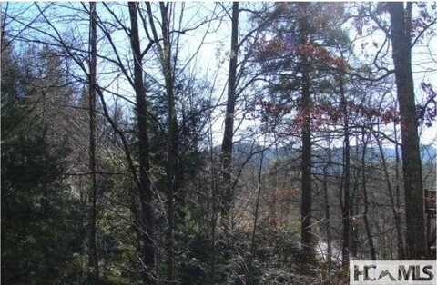 117 Buckberry Drive, Sapphire, NC 28774