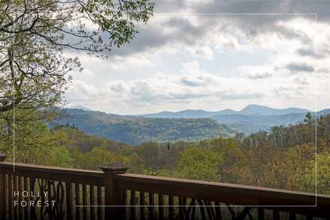 1725 Buckberry Drive, Sapphire, NC 28774