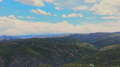 13511 S Firedog Way, Larkspur, CO 80118
