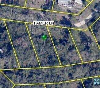 0 Tamer Lane, Dade City, FL 33523