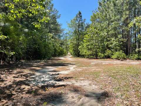 TBD Bachman Road, West Columbia, SC 29172