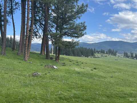 761 Wall Creek, Harpster, ID 83552