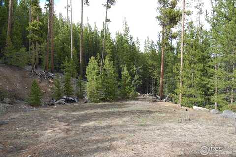 226 Shoshoni Dr, Red Feather Lakes, CO 80545