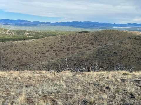 TR39 &67 H Path, Cotopaxi, CO 81223
