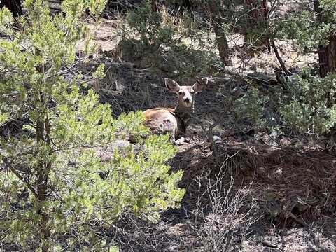 Timber Ridge, Weston, CO 81091