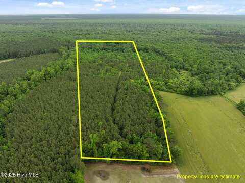 Tbd Nc-50, Wallace, NC 28466
