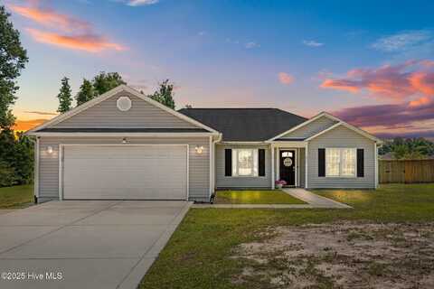 296 Petersburg Road, Richlands, NC 28574