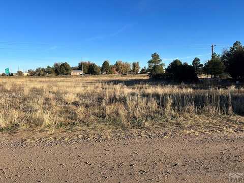 Algonquin Ave, Colorado City, CO 81019