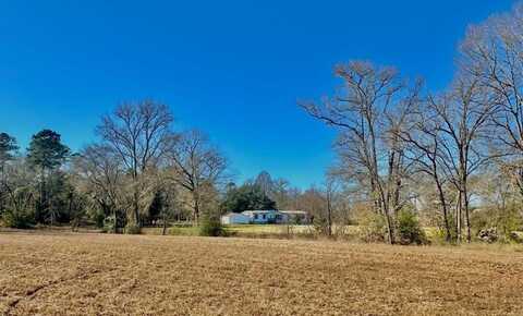1029 AN County Road 185, ELKHART, TX 75839