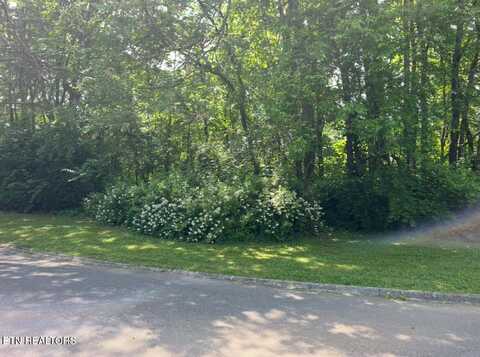 0 Burns Lane, Seymour, TN 37865