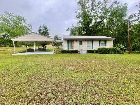 24147 ,HIGHWAY 167, Jack, AL 36346