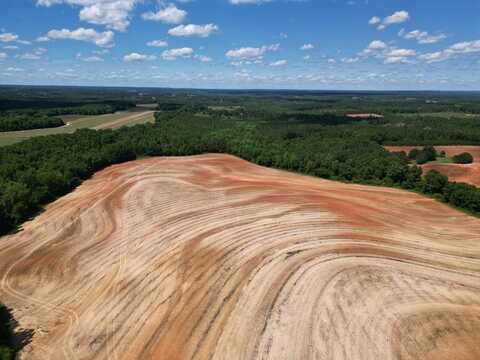 791 County Road 4420, Brundidge, AL 36010