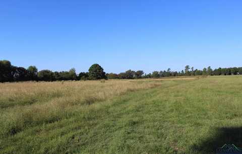 808 Joe Davis, Jefferson, TX 75657