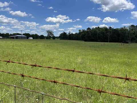 Tbd FM 124, Beckville, TX 75631