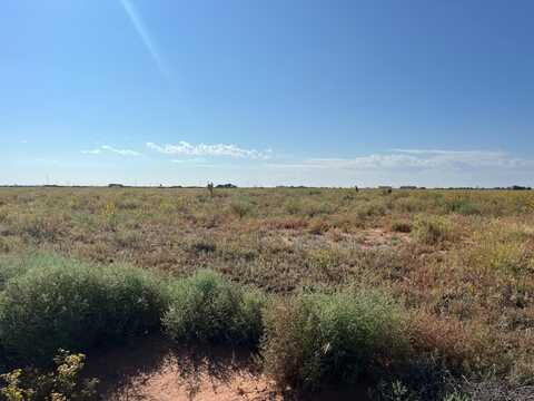 0 US Highway 385, Levelland, TX 79336