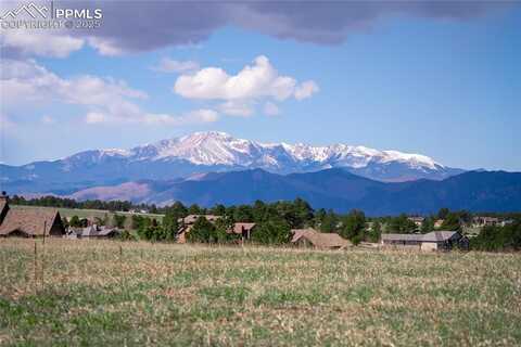 16924 Horizon Ridge Trail, Colorado Springs, CO 80908