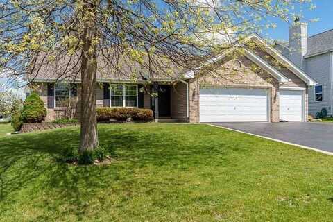 12323 Meadow, WINNEBAGO, IL 61088