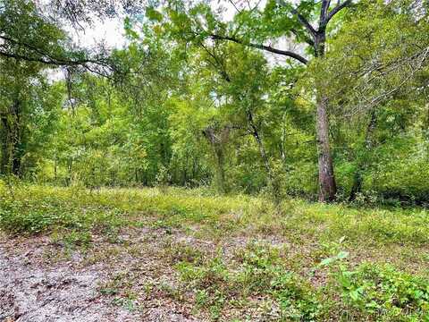 Tbd Cortez Boulevard, Dade City, FL 33523
