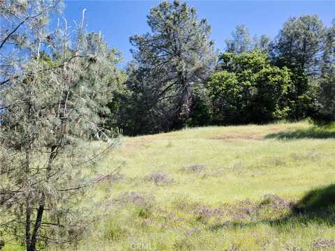 6983 Leslie Road, Lucerne, CA 95458
