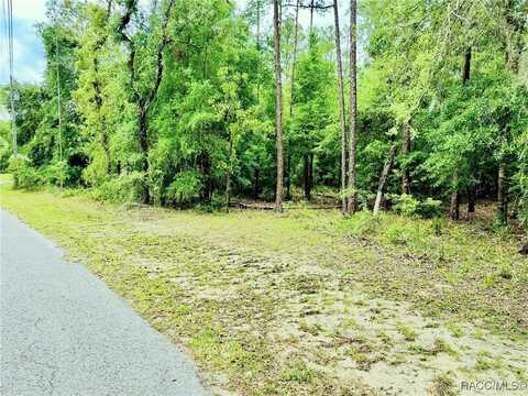 0000 SW 85 Loop, Dunnellon, FL 34431