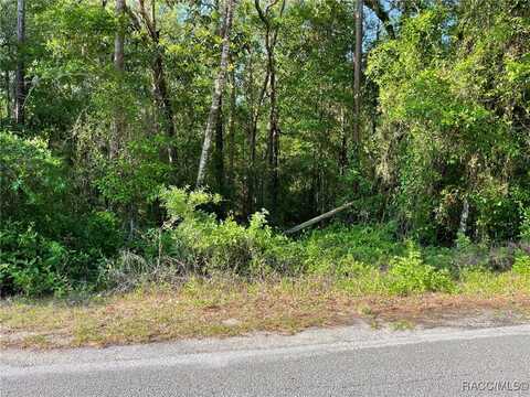 Lot 13 SW Nautilus Boulevard, Dunnellon, FL 34431