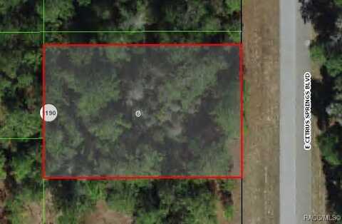 1471 E Citrus Springs Boulevard, Citrus Springs, FL 34434