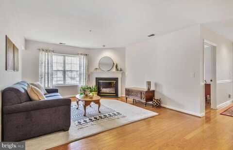 12105 TULLAMORE CT #101, LUTHERVILLE TIMONIUM, MD 21093
