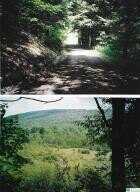 Pantherlick Road, Other, PA 18846