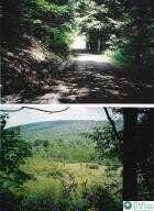 Pantherlick Road, Other, PA 18846