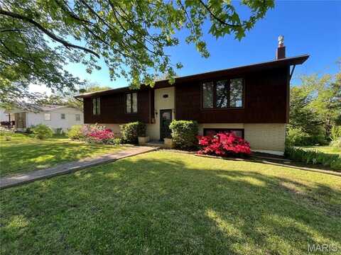 152 Burchwood Drive, Saint James, MO 65559