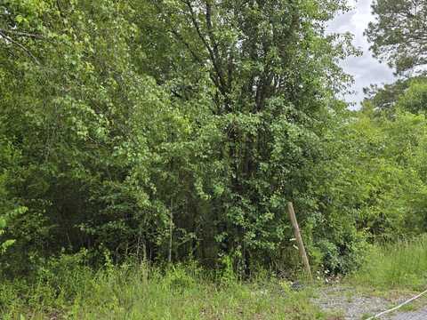 00 County Road 101, Riceville, TN 37370