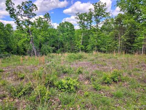 0 Rue Marseilles, Bonne Terre, MO 63628
