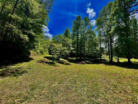 1294 Rafter Road, Tellico Plains, TN 37385