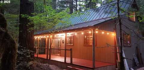 Cabin 177 Northwoods, Cougar, WA 98616