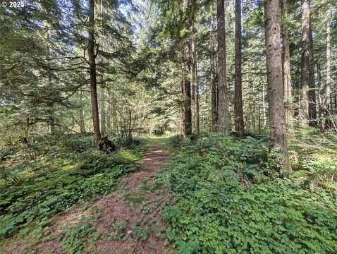 62955 E MOUNTAIN COUNTRY LN, Brightwood, OR 97011
